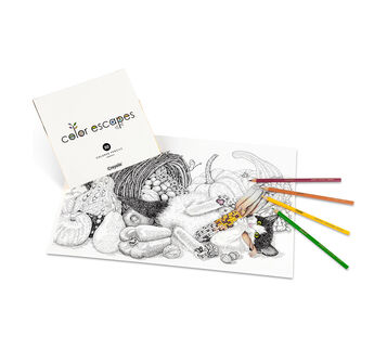 Color Escapes Adult Coloring Kit Paw Prints