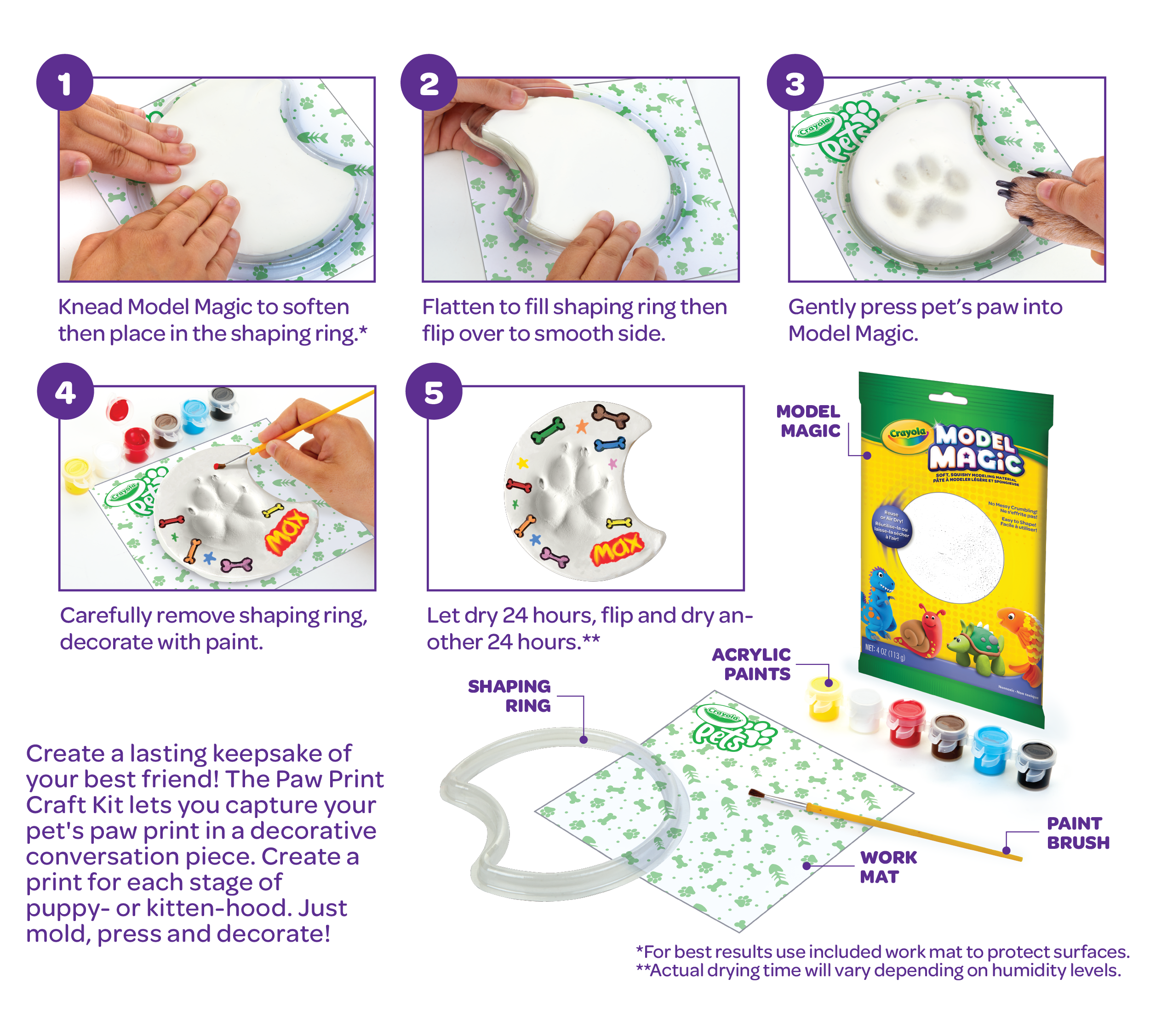 cat paw print kit