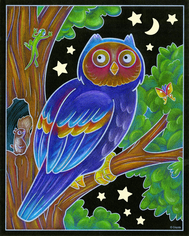 Forest Night Life! Coloring Set