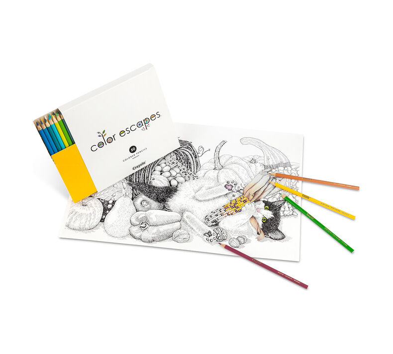 Color Escapes Adult Coloring Kit, Paw Prints