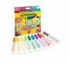 Silly Scents Sweet Smashups, 10ct Broad Line Markers packaging and contents.
