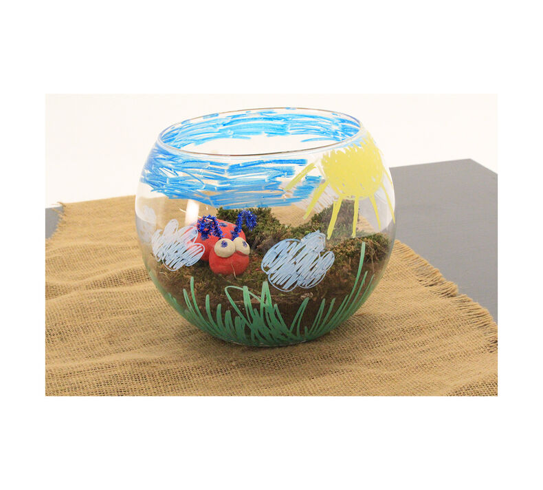DIY Terrarium Craft Kit