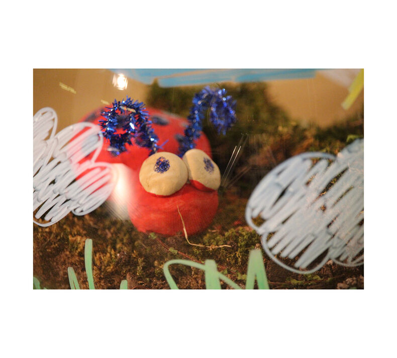 DIY Terrarium Craft Kit