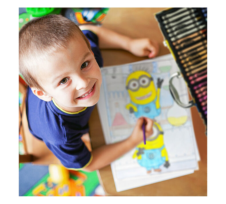 Inspiration Art Case, Despicable Me