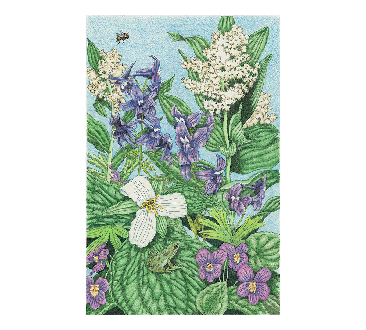 Color Escapes Adult Coloring Kit, Garden - Crayola