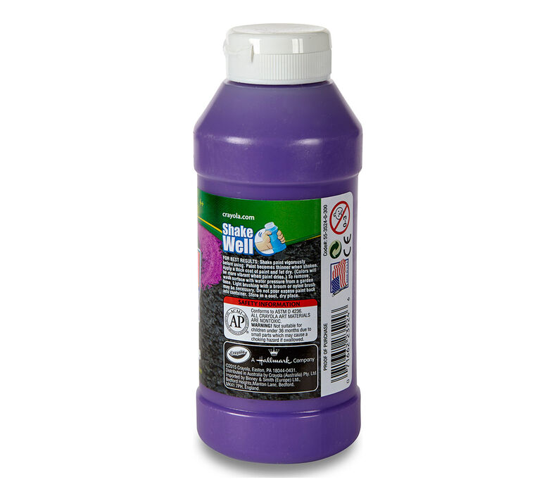 12 ct. Washable Sidewalk Neon Paint
