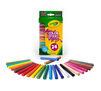 Color Sticks Colored Pencils 24ct.