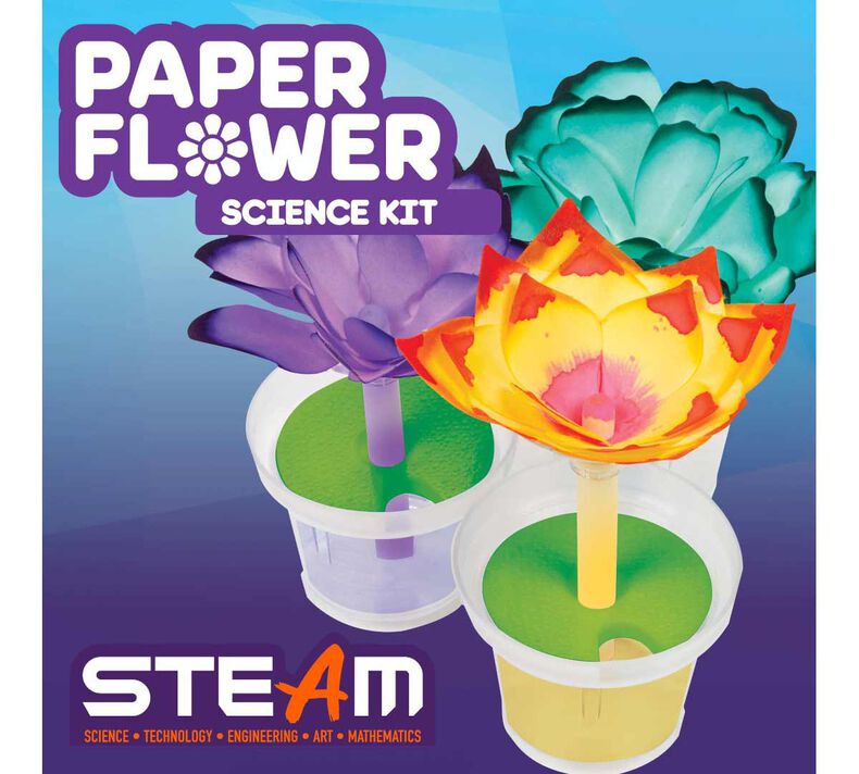 Paper Arts - Pião E Flor - Kits For Kids - WebContinental