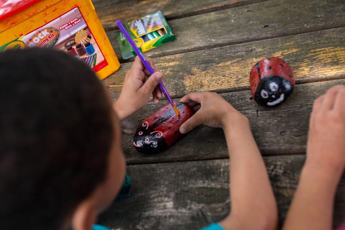 Crayola Rock Painting Kit With 6 Crayola Kids Paints 8 Crayola Metallic Markers Great For Paint A Rock Leave A Rock Gifts Crayola