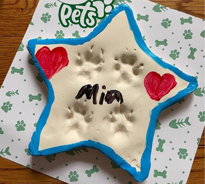 Crayola Pets Paw Print Keepsake Kit, Star