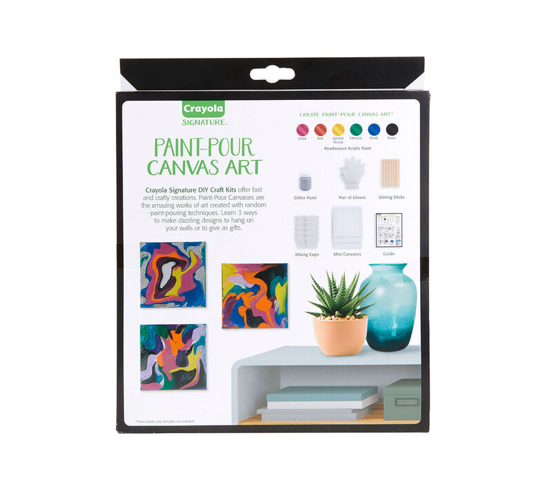 Signature Paint Pour Mini Canvas Craft Kit