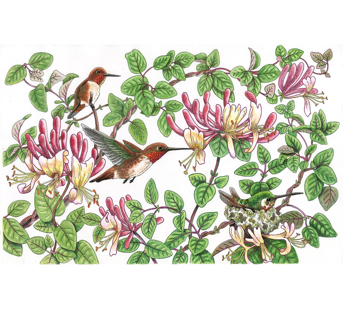 Color Escapes Adult Coloring Kit Garden Crayola