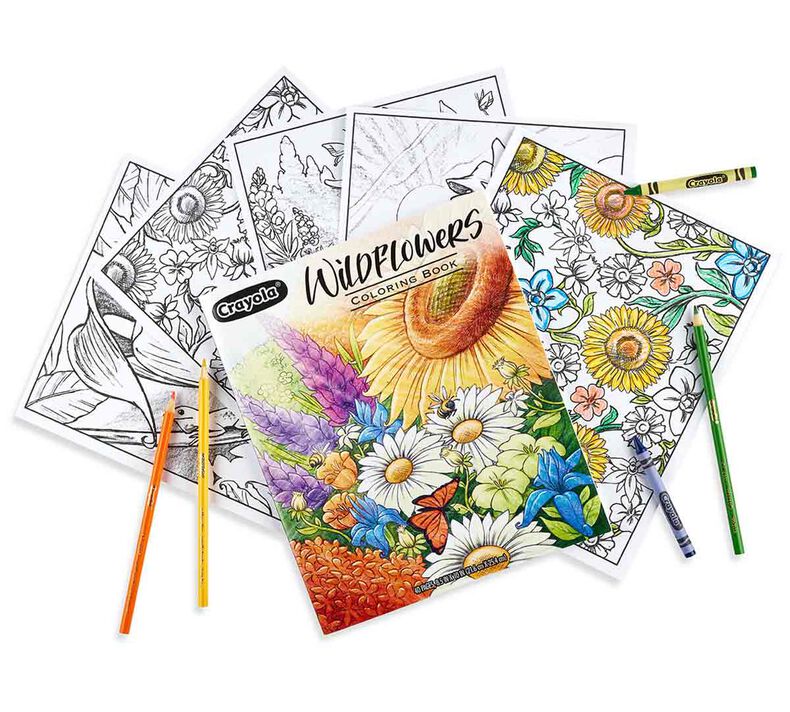 https://shop.crayola.com/dw/image/v2/AALB_PRD/on/demandware.static/-/Sites-crayola-storefront/default/dw81ff0a3a/images/04-1135-Wildflowers-coloring-book-40pg_PDP_02.jpg?sw=790&sh=790&sm=fit&sfrm=jpg