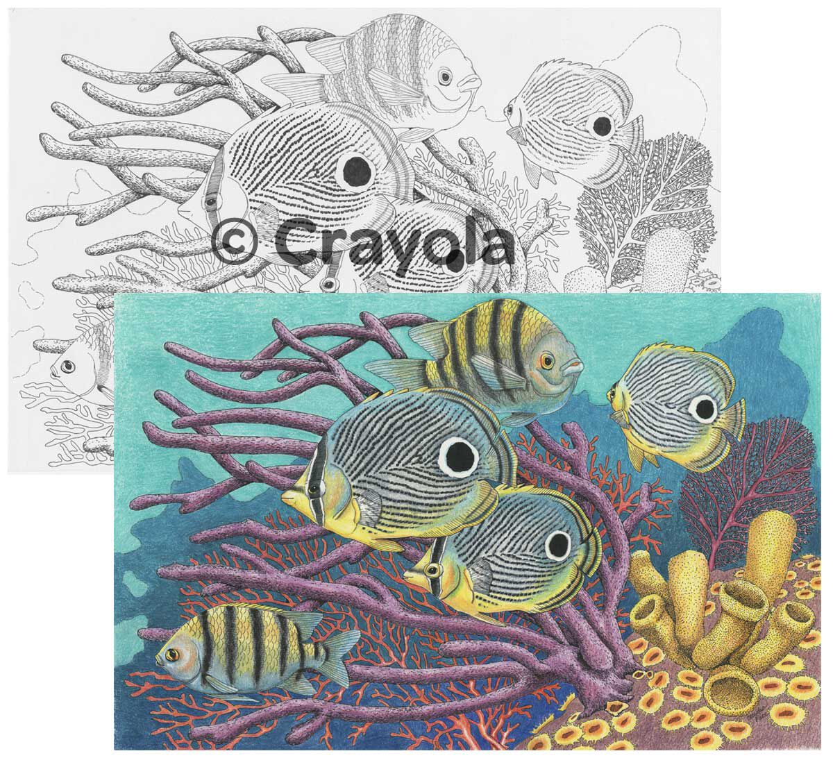 Download Color Escapes Adult Coloring Kit, National Parks - Crayola