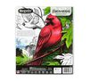 Bird Watching Coloring Book  back view.