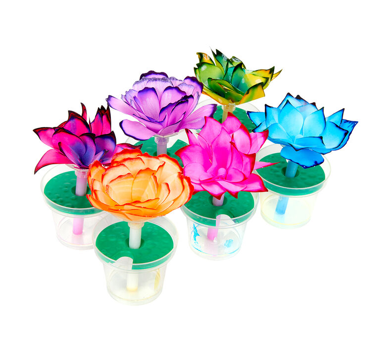 STEAM Paper Flower Science Kit