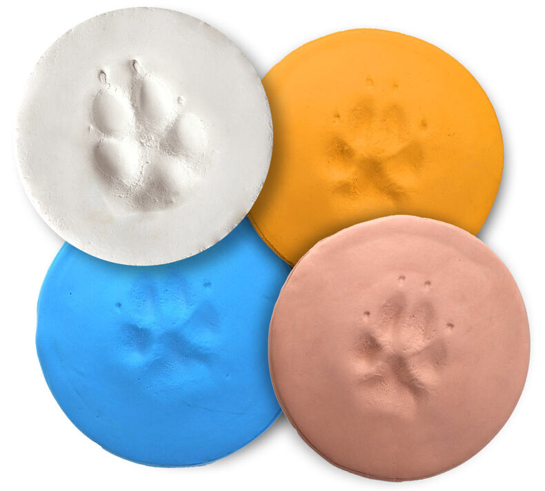 Crayola Pets Paw Print Circle Keepsake Kit with Extra Art Supplies