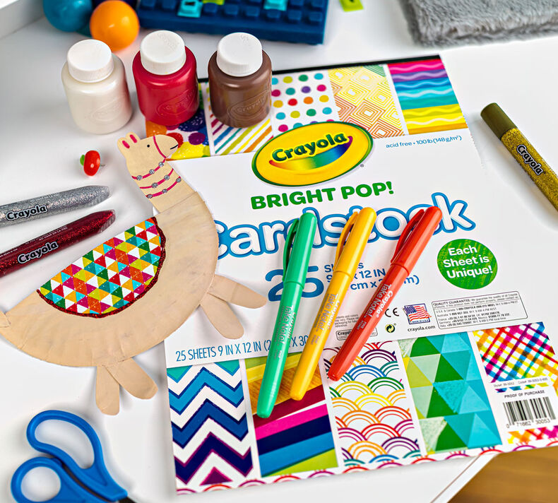 Paper Plate Llama Craft Kit