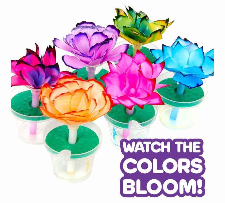 Paper Flower Science Kit, Color Changing Flowers