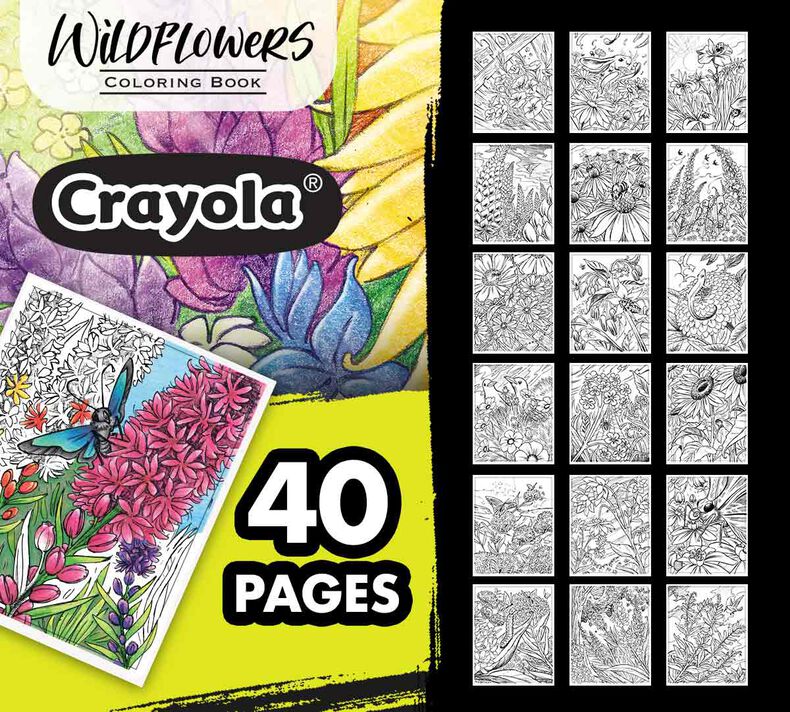 Mandala Coloring Book, 40 Coloring Pages, Crayola.com