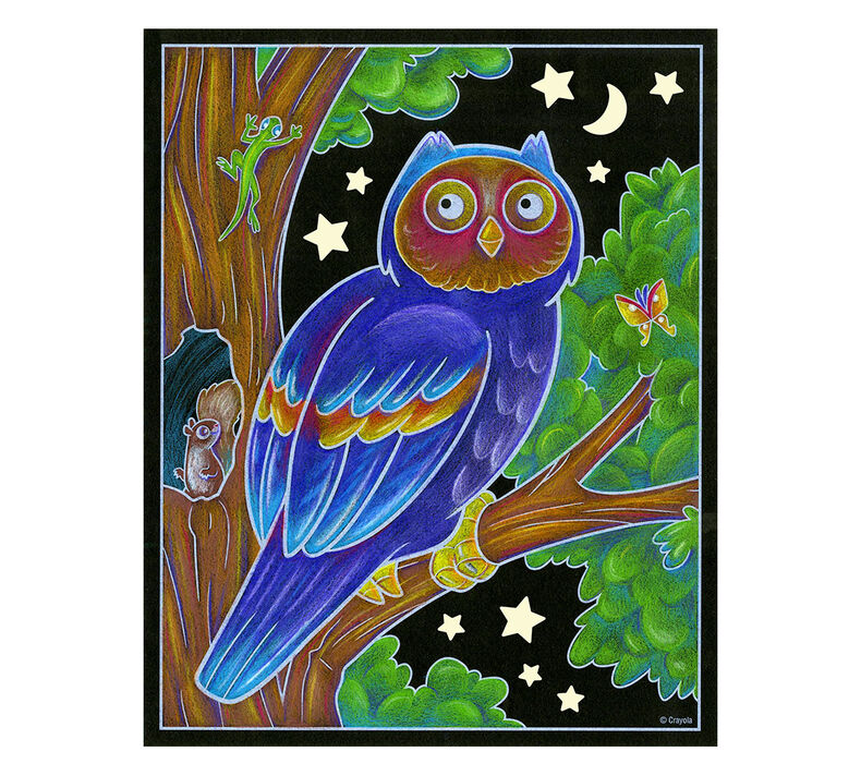 Forest Night Life! Coloring Set