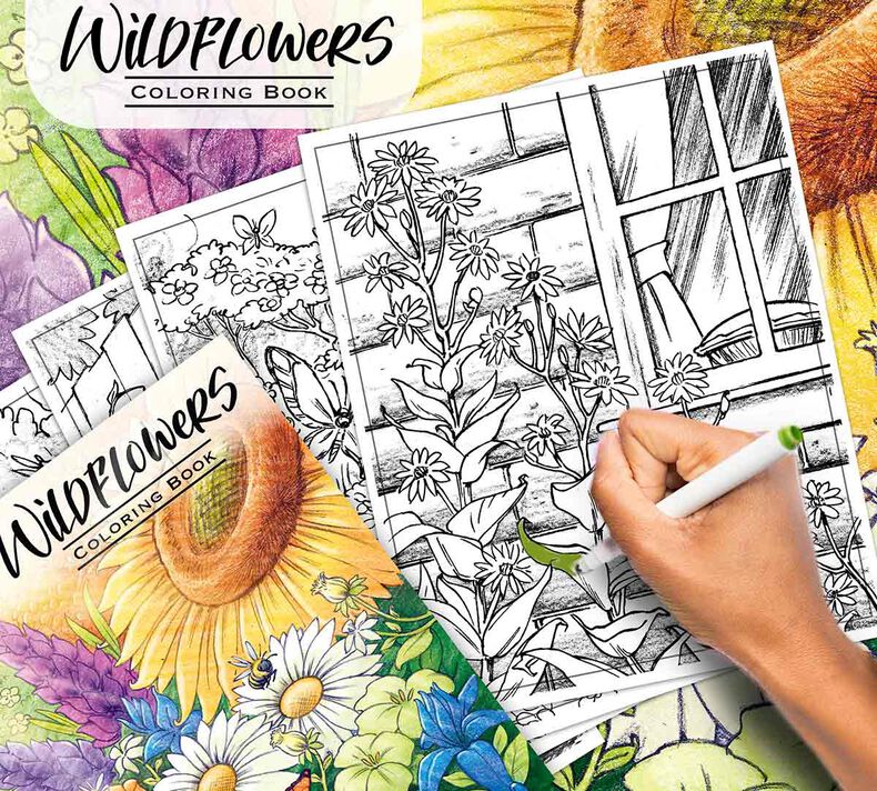 Wildflowers Coloring Book
