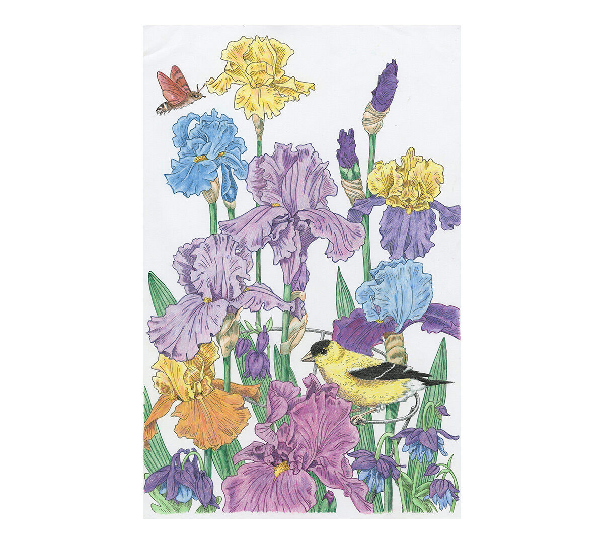 Download Color Escapes Adult Coloring Kit, Garden - Crayola