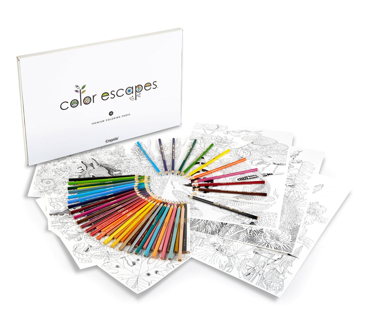 You're never too old to color! Our line of Timeless Creations Adult Co