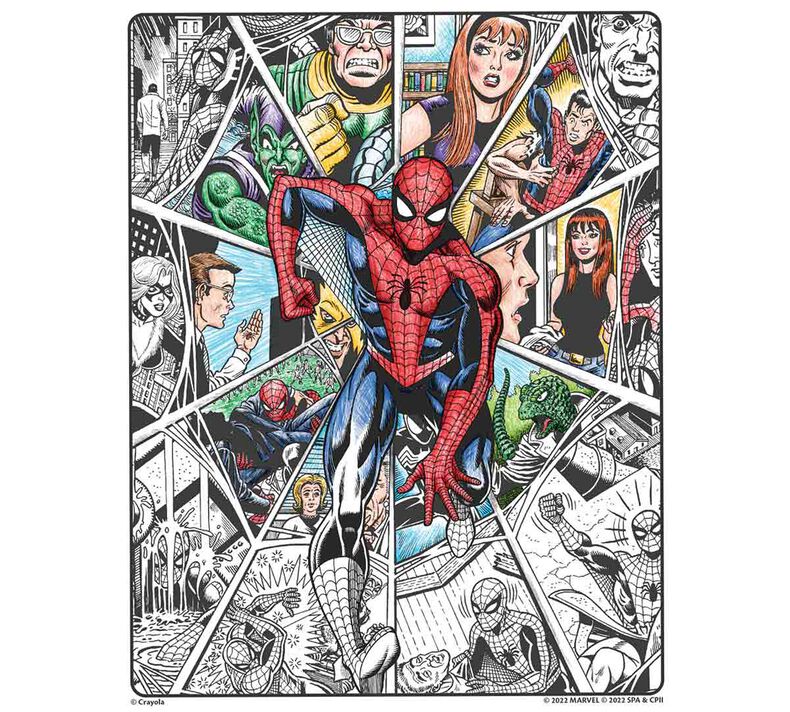 Spiderman Paint Kit, Creative Kids Paint Kit, Complete Art Set for Children  