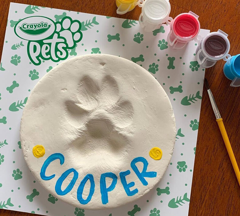 Crayola Pets Paw Prints Keepsake Kit, Circle