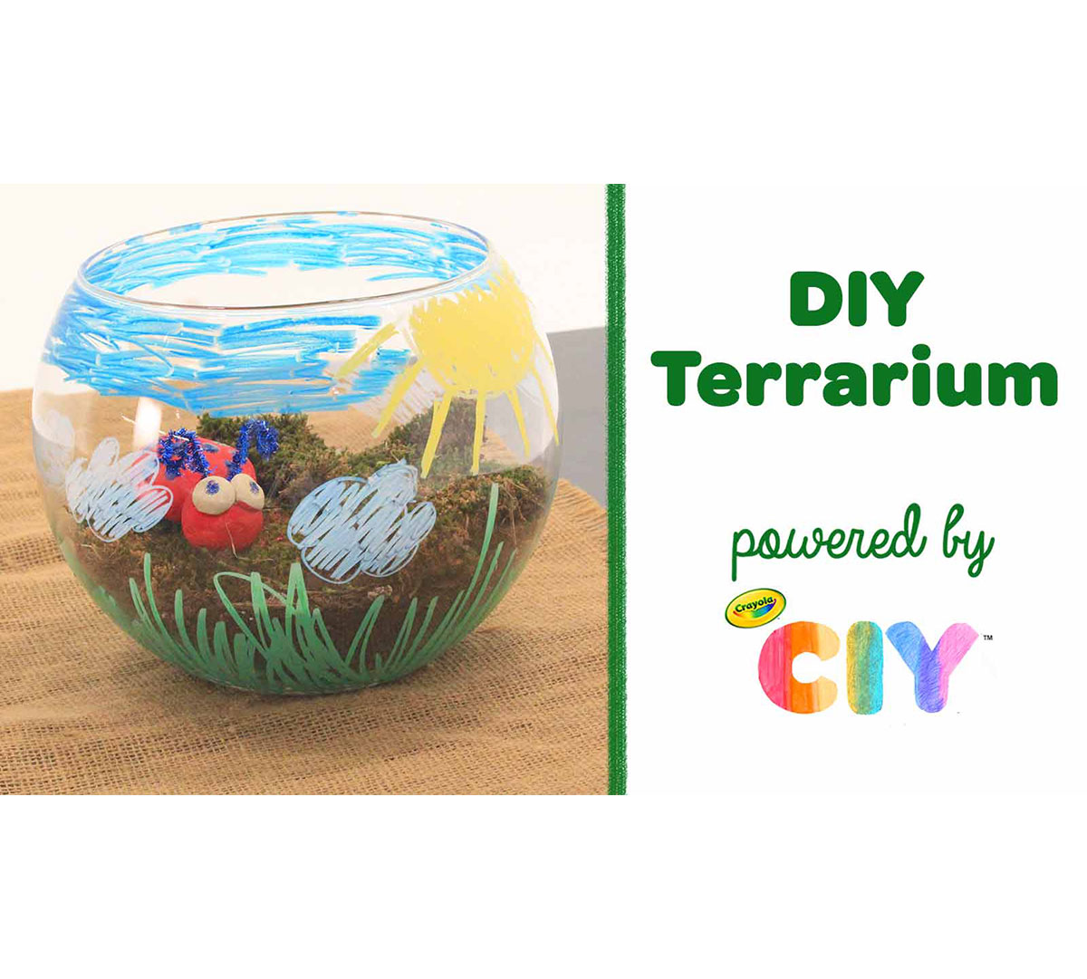 DIY Terrarium