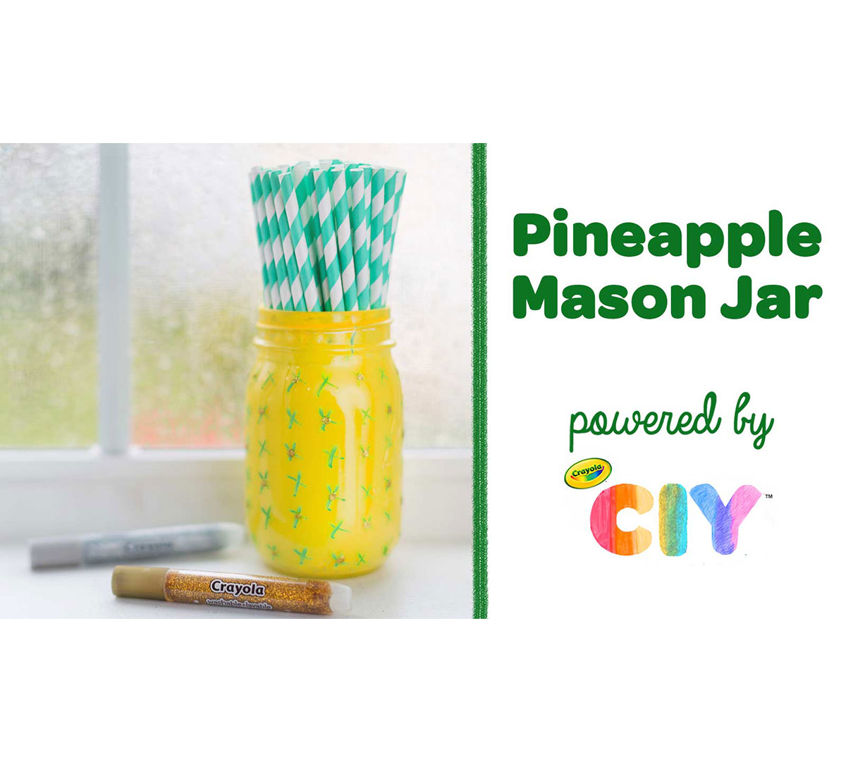 Pineapple Mason Jar Craft Kit